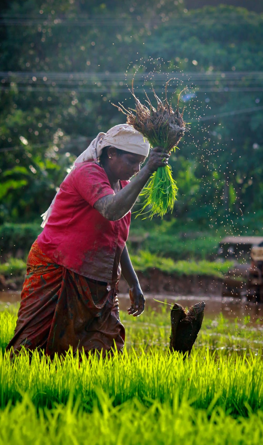 Crop loss & farm loans